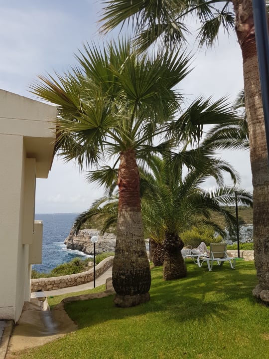 Gartenanlage blau punta reina