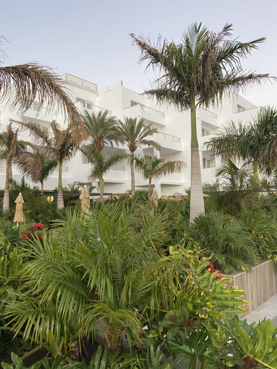 Gartenanlage Hotel Riu Palace Jandia