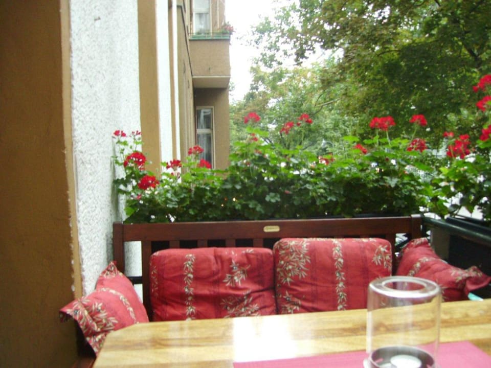 Eine kleine Oase in der Großstadt Safestay Berlin Kurfürstendamm