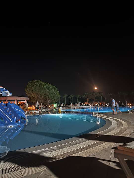 Pool Green Max Hotel