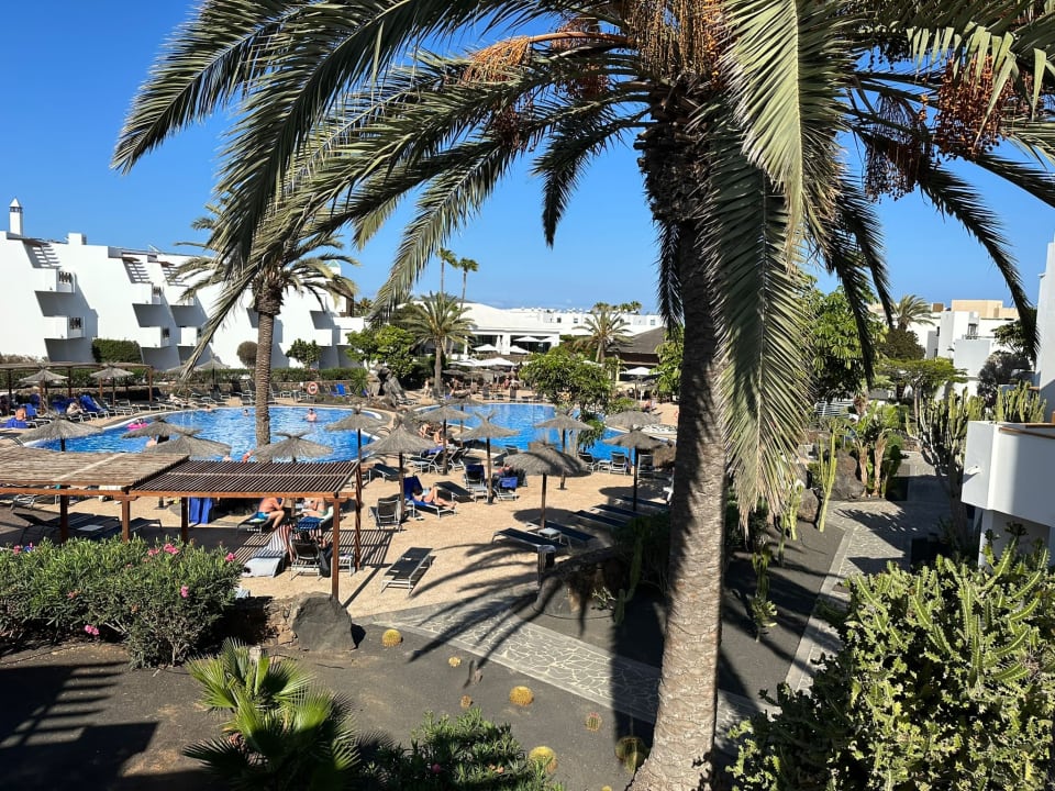 Ausblick allsun App.-Hotel Albatros