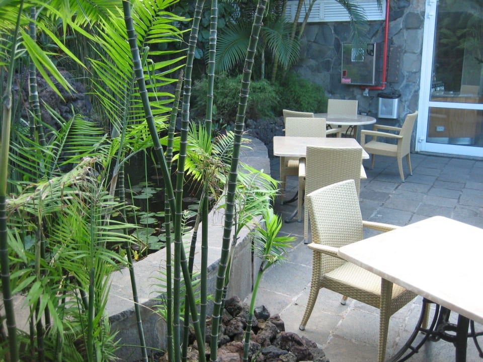 Frühstück im Freien Hotel Tigaiga