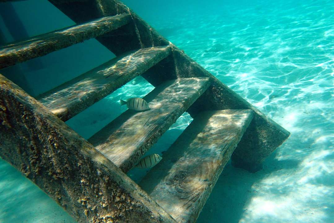 Unterwasser Meeru Maldives Resort Island