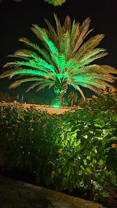 Gartenanlage Club Sidelya Hotel