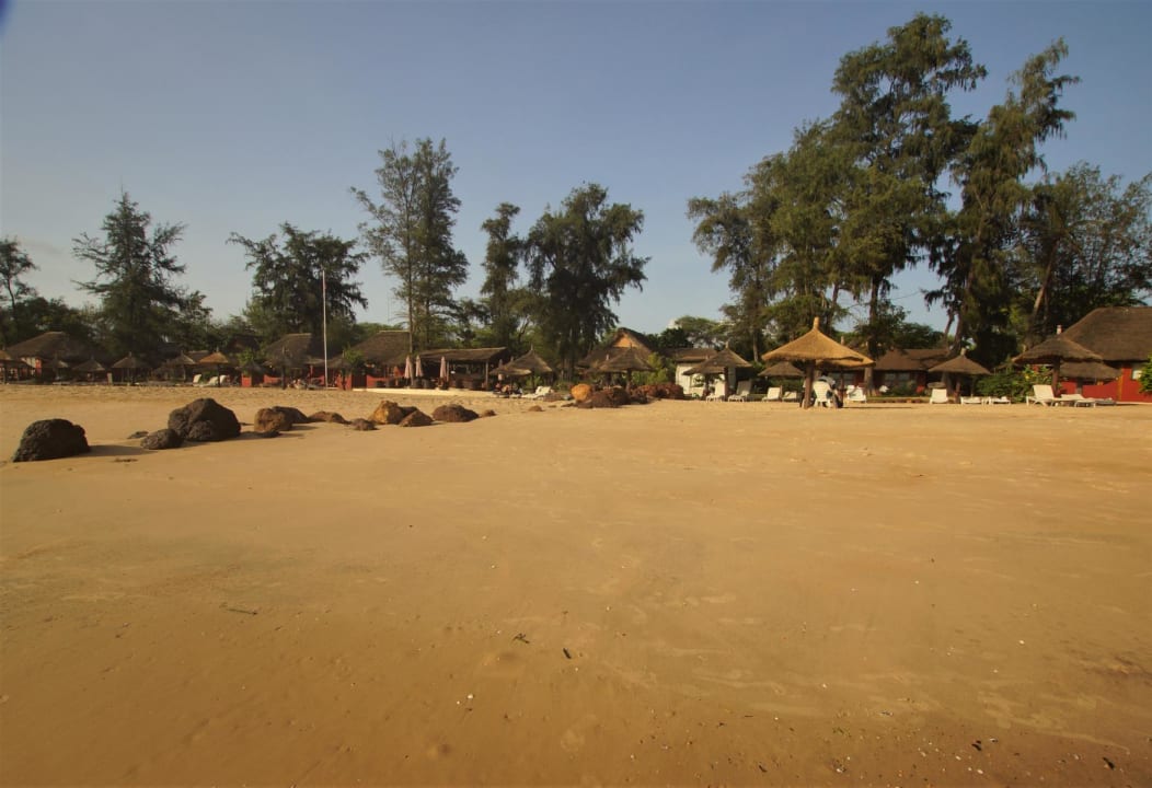 Strand Royal Horizons Baobab