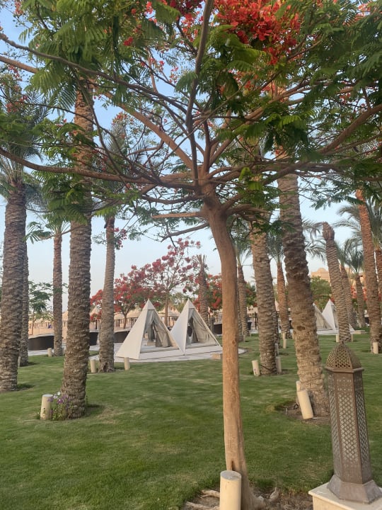 Gartenanlage The Grand Palace - Adults only