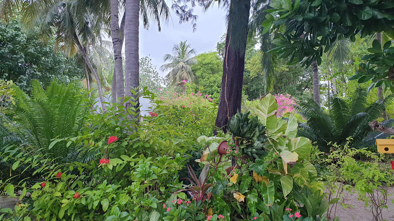 Gartenanlage Centara Ras Fushi Resort & Spa Maldives