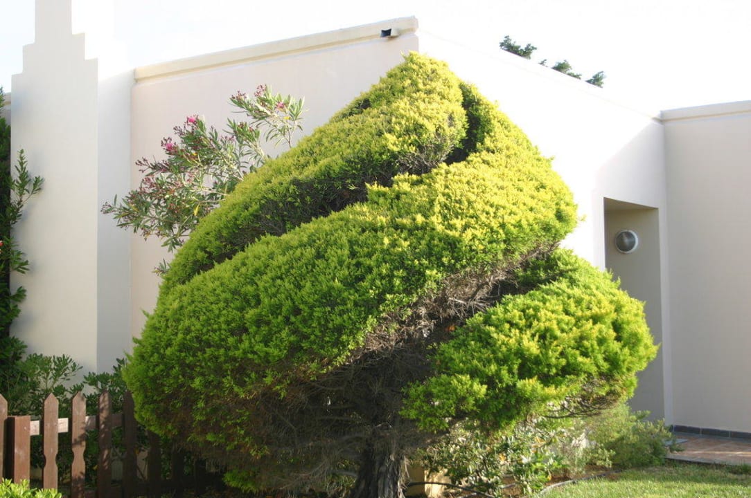 Die Kunst der Gärtner Kipriotis Village Resort