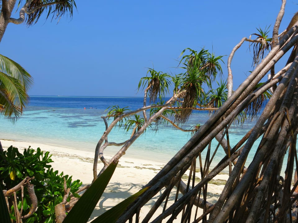Strand Vilamendhoo Island Resort & Spa