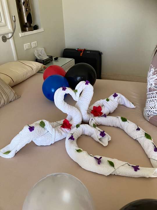 Zimmer Makadi Spa - Adults only