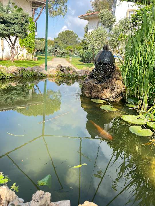 Gartenanlage Belconti Resort Hotel