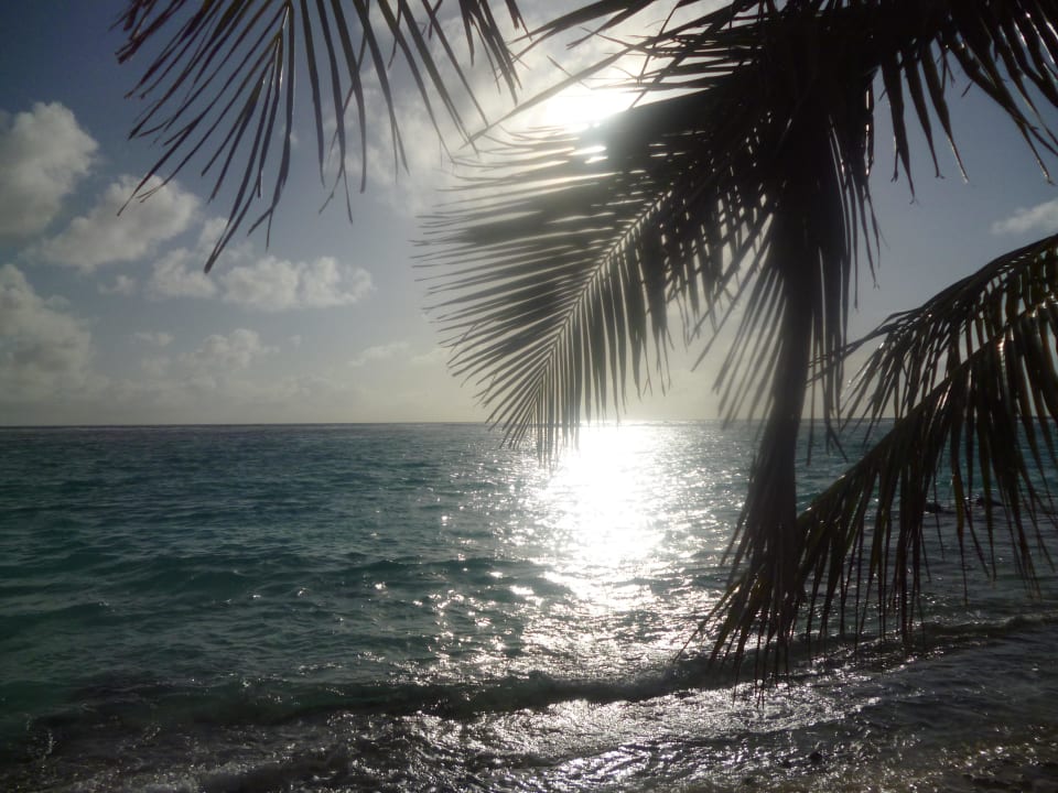 Bevor die Sonne untergeht... Summer Island Maldives