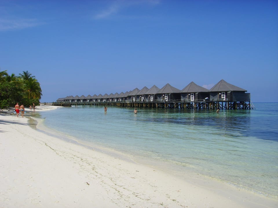 Ausblick von den Strandbungalows 386 bis 475  Kuredu Island Resort & Spa