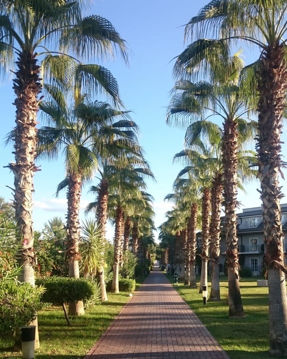 Gartenanlage Sunis Elita Beach Resort & Spa