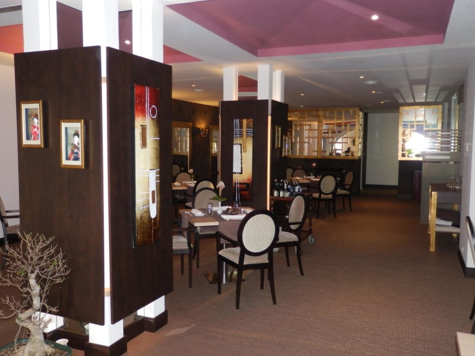 Chinarestaurant Dreams Jardín Tropical