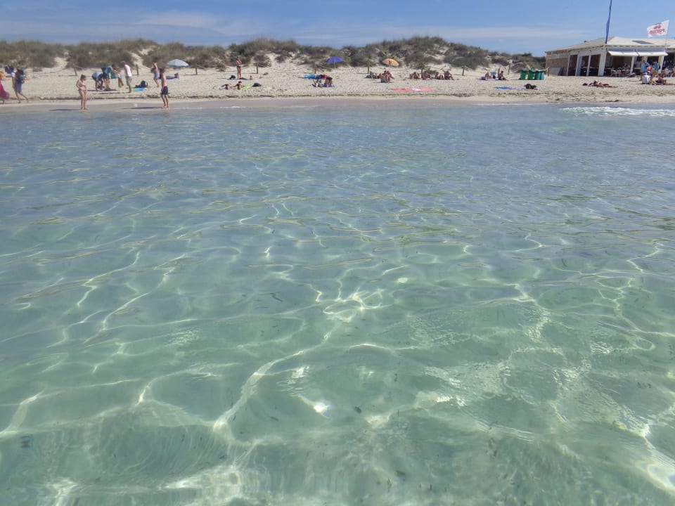 Strand Es Trenc - Traumhaft! Iberostar Selection Es Trenc