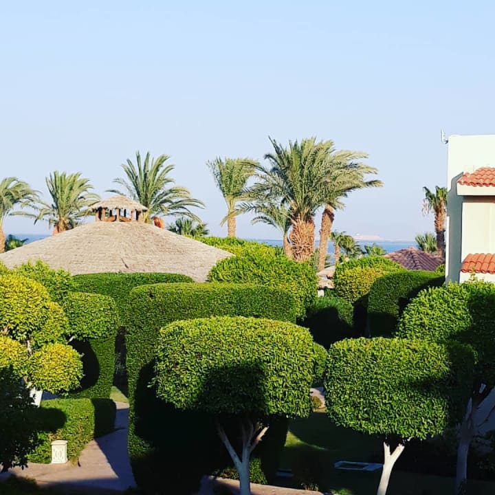 Gartenanlage Lotus Bay Beach Resort