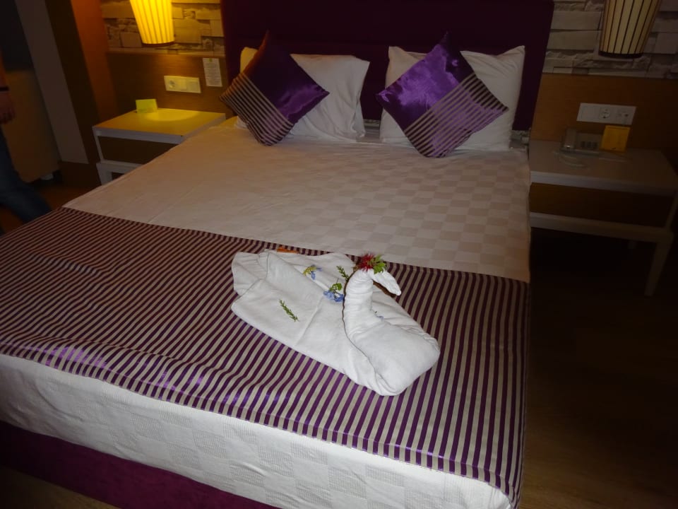 Zimmer TUI MAGIC LIFE Jacaranda