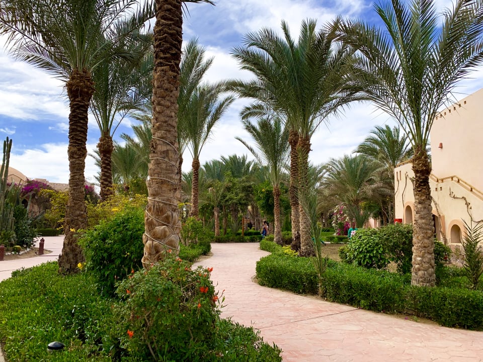 Gartenanlage Hotel Blue Lagoon