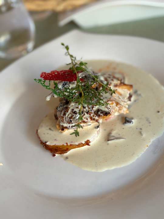 Gastro Crystal Admiral Aqua Collection