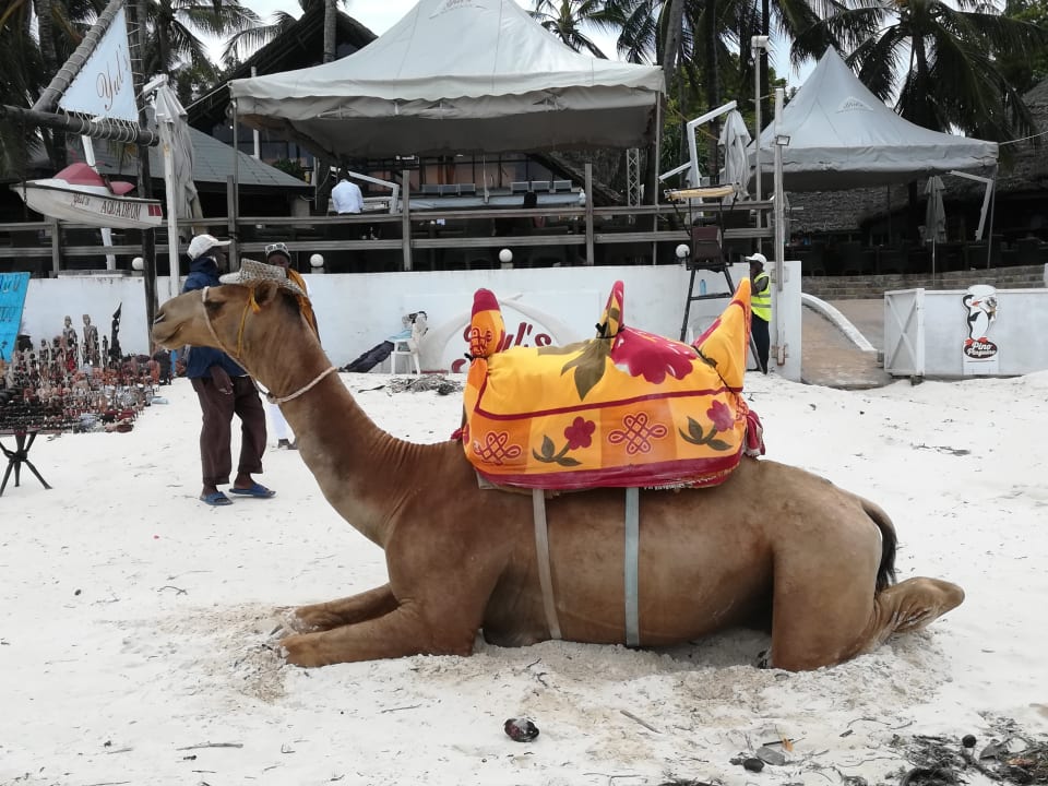 Strand Travellers Beach Hotel & Club