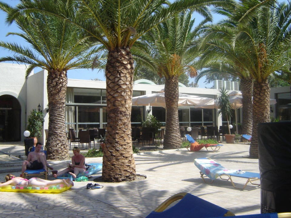 Basen Kipriotis Hippocrates Hotel