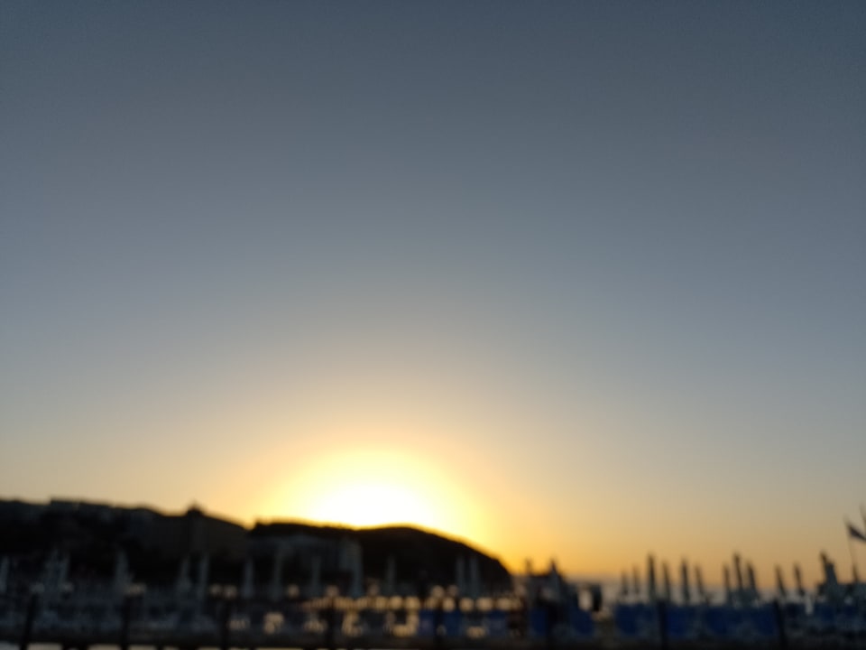 Ausblick Dizalya Palm Garden