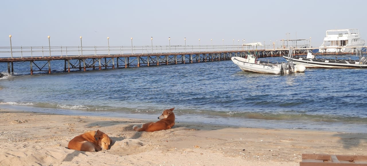 Außenansicht Shams Alam Beach Resort