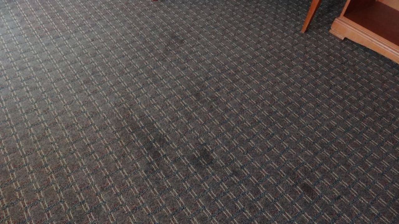 Verkeimter Teppich Hotel Tahitian Inn Fort Myers