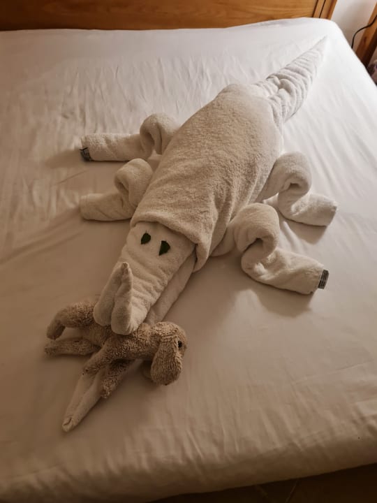 Zimmer Three Corners Fayrouz Plaza Beach Resort