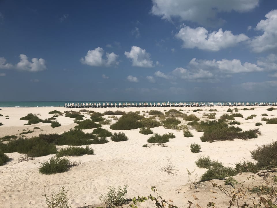 Strand Rixos Premium Saadiyat Island