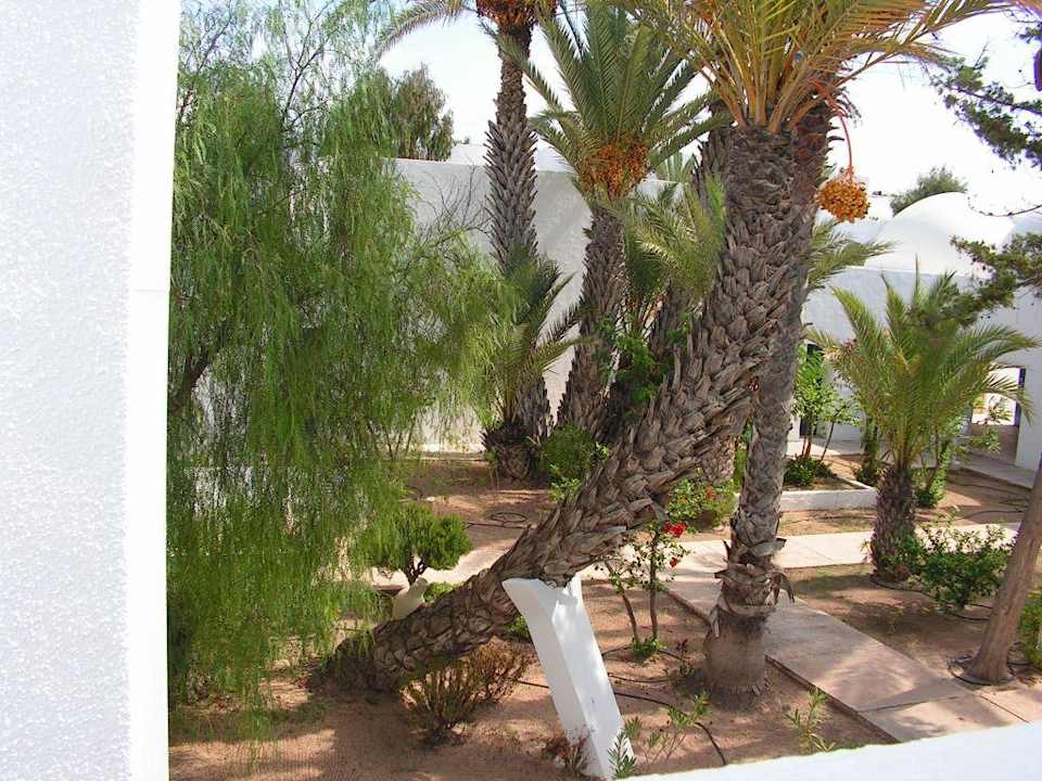 Innenhof Hotel El Mouradi Djerba Menzel