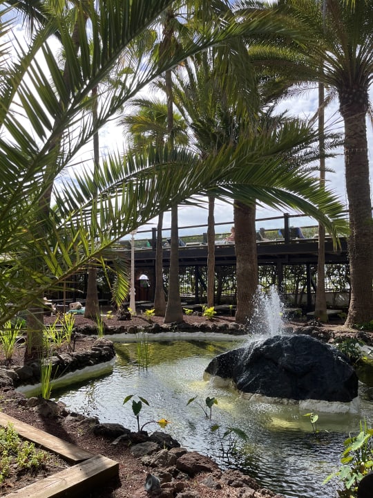 Gartenanlage Hotel Parque Tropical