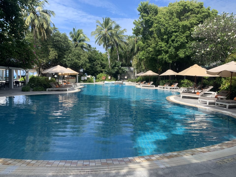 Pool Sheraton Maldives Full Moon Resort & Spa