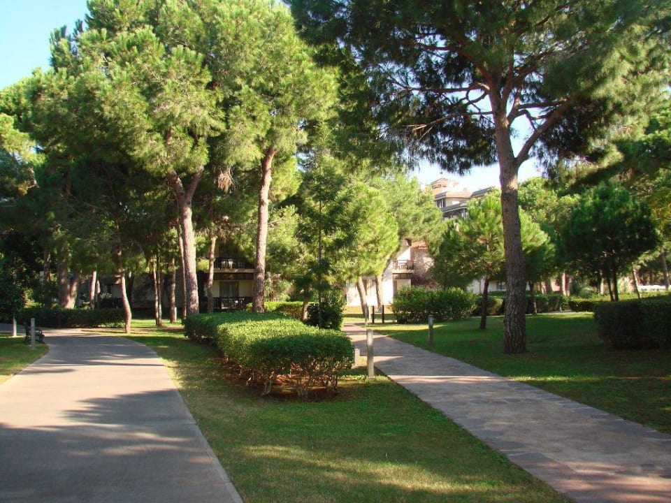 Zadbany,zielony ogród Xanadu Resort Hotel