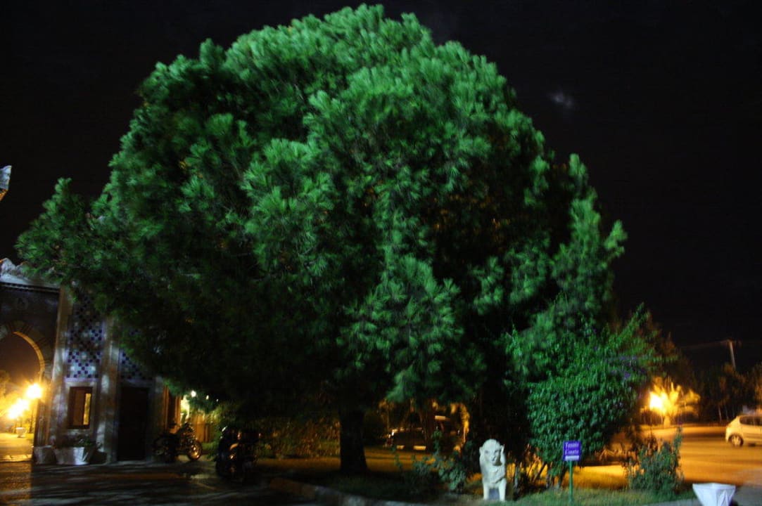 Club Ali Bey Manavgat Ali Bey Club