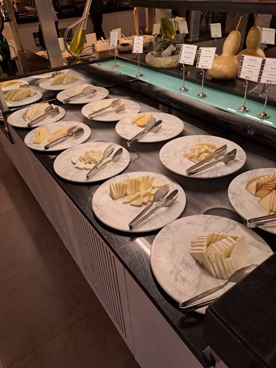 Gastro Paloma Oceana