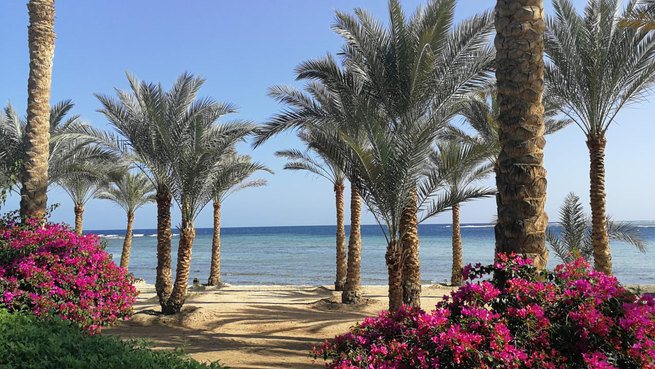 Ausblick Brayka Bay Resort