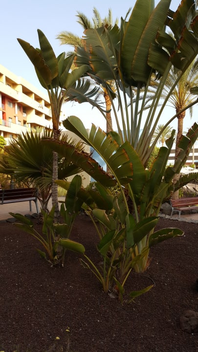 Sonstiges Iberostar Waves Gaviotas Park