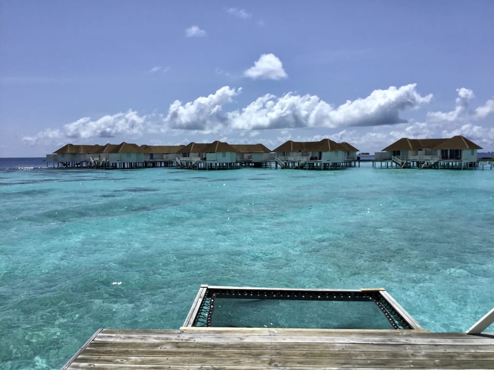 Ausblick Machchafushi Island Resort & Spa Maldives, The Centara Collection
