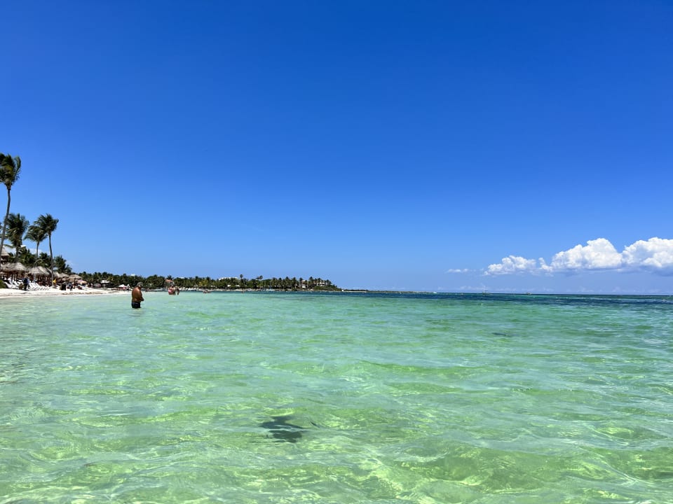 Strand Akumal Bay Beach & Wellness Resort