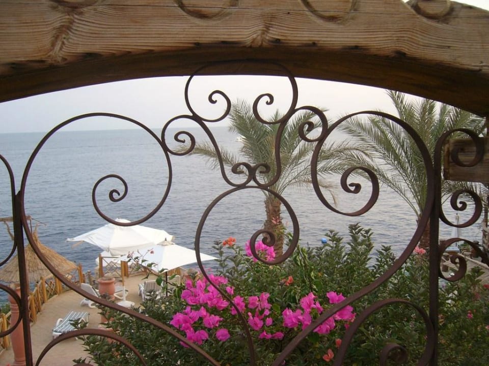 Blick von der Brücke auf das Meer Pickalbatros Golf Beach Resort