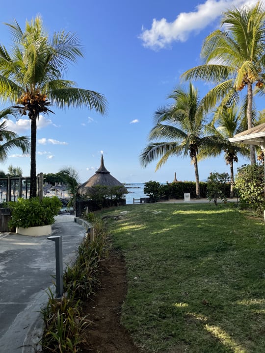 Gartenanlage Lagoon Attitude - Adults only