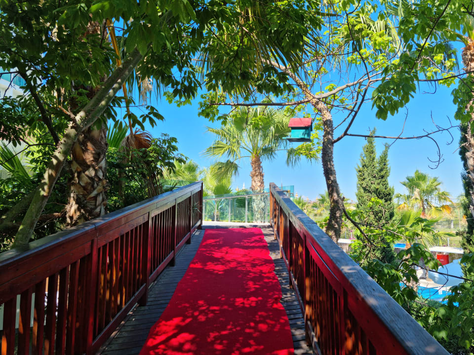 Gartenanlage Dream World Aqua Hotel