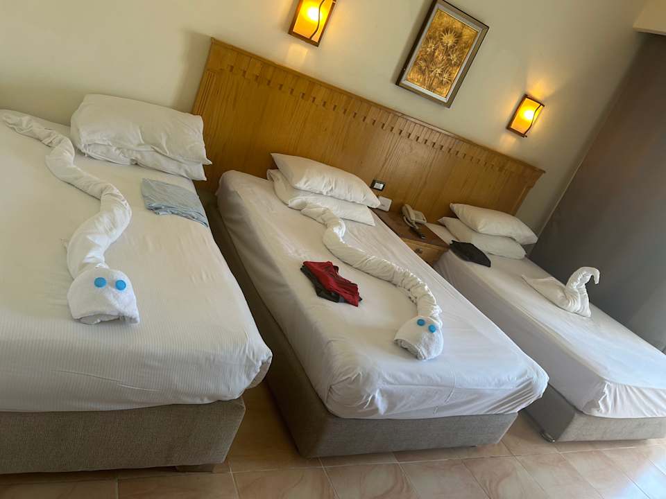 Zimmer Pickalbatros Jungle Aqua Park Resort - Neverland Hurghada