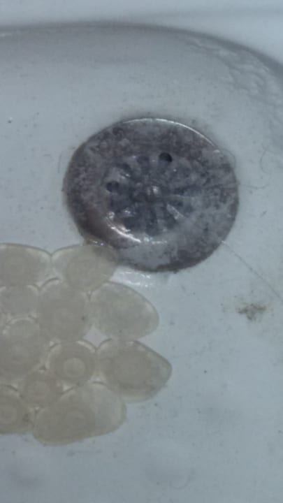 Zimmer Sotavento Fuerte Holiday