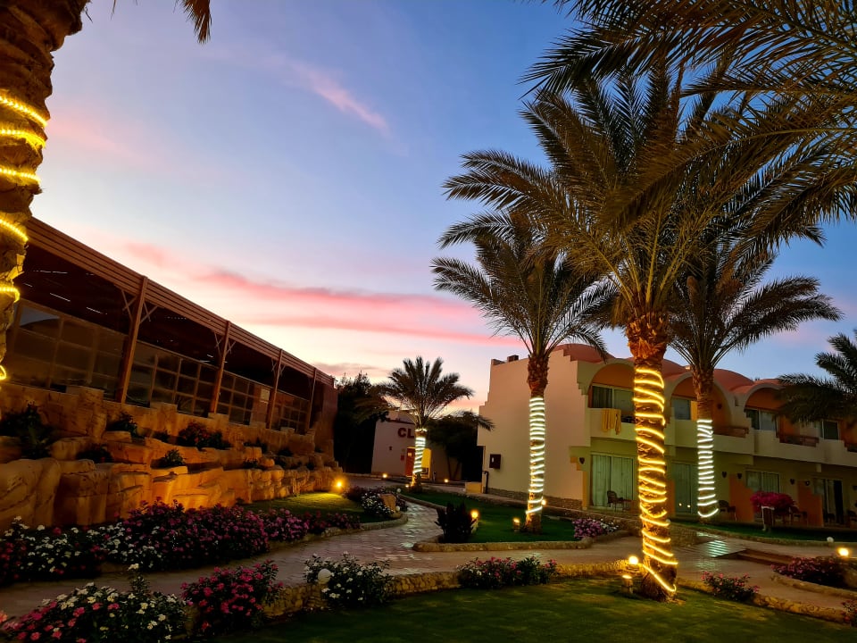 Gartenanlage Three Corners Sea Beach Resort