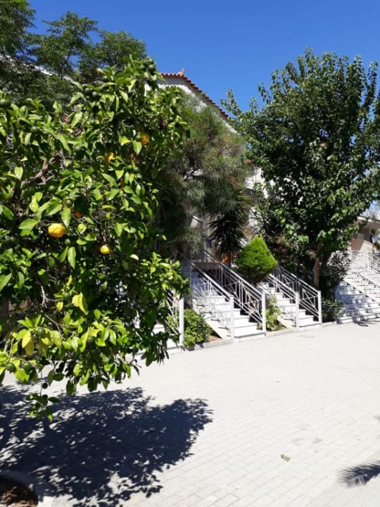 Widok z zewnątrz Hotel Porto Assini