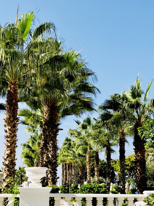 Ausblick Rubi Platinum Spa Resort & Suites