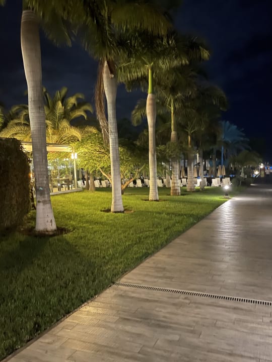 Gartenanlage Hotel Riu Palace Meloneras